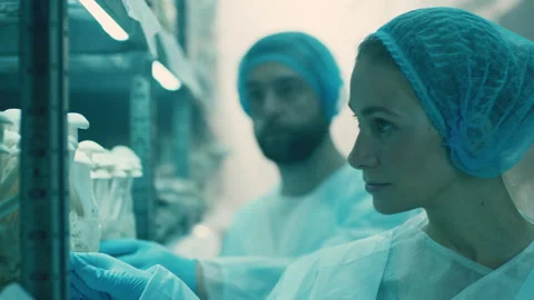 Two lab technicians checking mushrooms in their lab Stock Footage 283074193