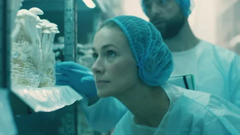 Two lab technicians checking mushrooms Stock Footage 283074264