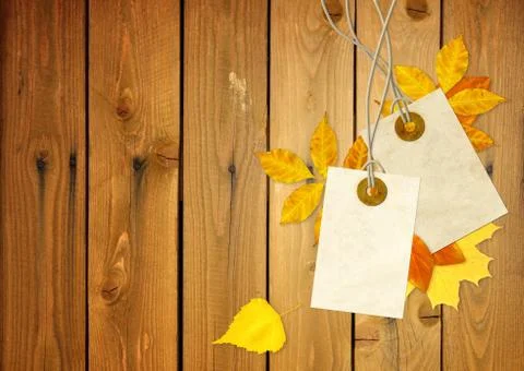 Two labels Stock Illustration