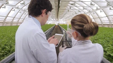 Two laboratory technicians doing research standing in greenhouse of agro holding Stock Footage 77516211