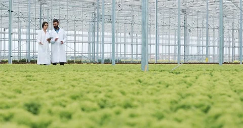Two laboratory technicians doing research standing in greenhouse of agro holding Stock-Footage 103479359