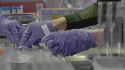 Two laboratory technicians performing an experiment Stock Footage 67553905