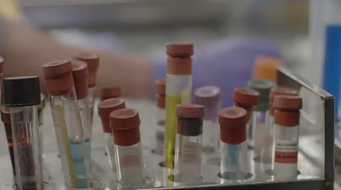 Two laboratory technicians performing a test with the samples Stock Footage 67553954