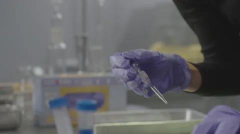 Two laboratory technicians testing the samples in the laboratory Stock Footage 67553972