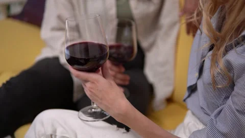 Two ladies drinking red wine and spending time together. Video stock 278484275