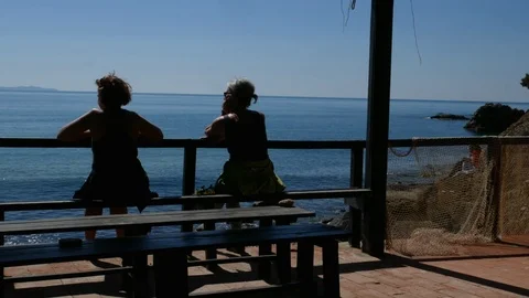 Two Ladies rest seated in front of the sea in a sunny day Stock Footage 105218978