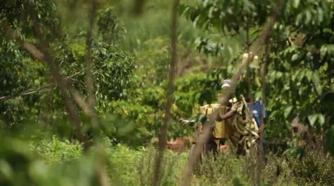 Two ladies walking through African bush carrying water Stock Footage 54998673