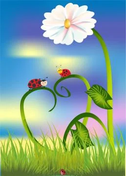 Two ladybugs Stock Illustration