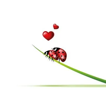 Two ladybugs make love on a blade of grass Stock Illustration