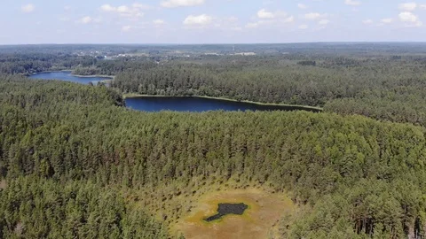 Two Lake in the middle of the forest 動画素材 119729638