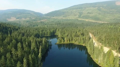 Two lakes in the forest Stock Footage