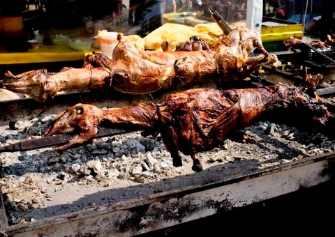 Two lambs on skewer Stock Photos