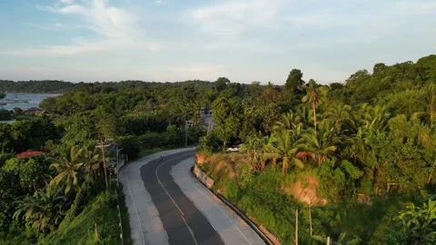 Two-lane highway surrounded by palm tree at sunset twilight Stock Footage 246892843