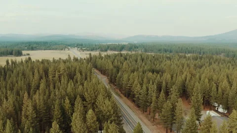 Two lane highway through pine forest and meadow aerial Stock Footage 348047067