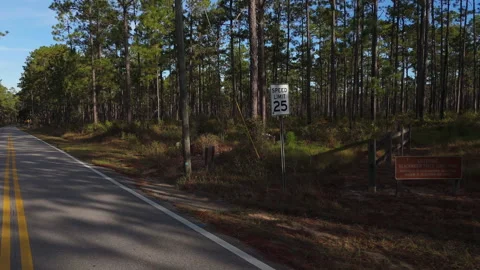 Two lane road and Speed Limit 25 mph sign in Blackwater River State Park Florida Vídeo Stock 325690055