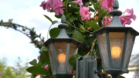 Two lanterns in front of pink flowers and plants Stock Footage 114186147