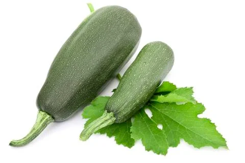 Two large courgettes 写真素材
