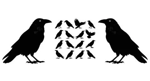 Two large crow silhouettes framing a grid of smaller bird shapes on white b.. Stock Illustration
