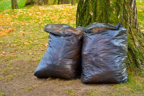 Two large garbage bags Foto stock