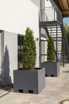 Two large, gray planters containing lush conifer trees are placed alongside.. Stock Photos