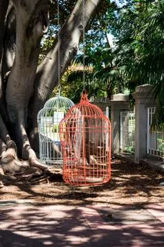 Two large hanging birdcages on a tree on Murray Street, Perth City Stock Photos