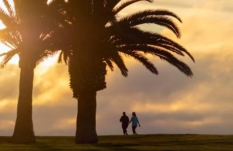 Two large palm trees and two walking women with a background view of a dramat Stock Photos