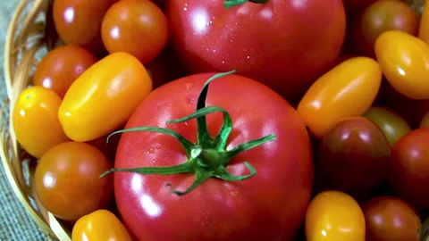 Two  Large Red Tomatoes and Multicolored Cherry Tomatoes Rotating Close Up Vídeo Stock 344862482