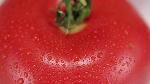 Two large tomatoes with water droplets Stock Footage 122512788
