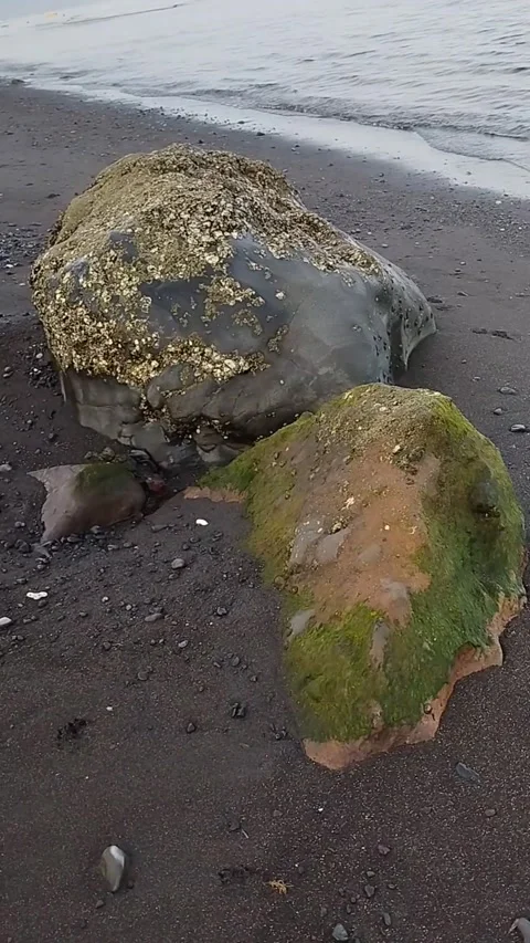 Two large very dirty rocks in the beach sand Stock Footage 225200438
