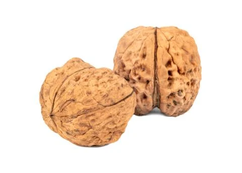 Two large walnuts Stock Photos