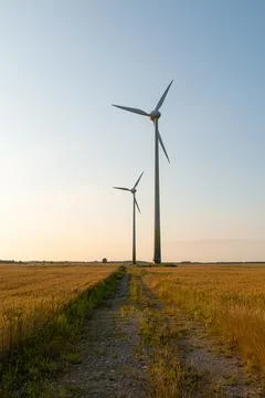 Two large white wind turbines stand tall within a golden wheat field under .. Stock Photos