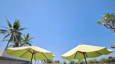 Two large yellow umbrellas blowing in the breeze under the tropical sun Stock Footage 287984204