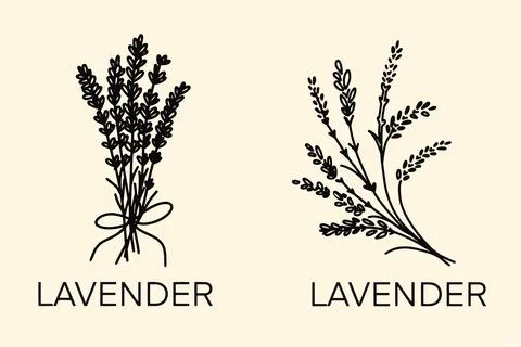 Two lavender icon in filled, thin line, outline and stroke style 스톡 일러스트