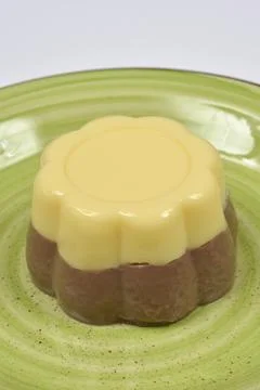 Two layer flower shaped pudding on a green plate Stock Photos