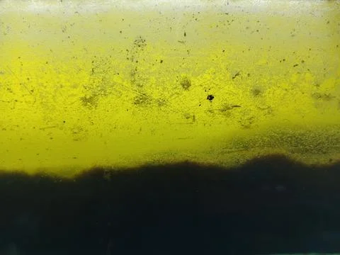 Two Layer Liquid Separation with Yellow Oil and Dark Sediment Stock Photos