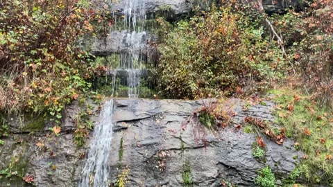 Two layers waterfall trickles down a cliffs in the Pacific Northwest Video stock 329449107