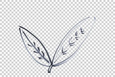 Two leaves drawn with a black marker Stock Illustration