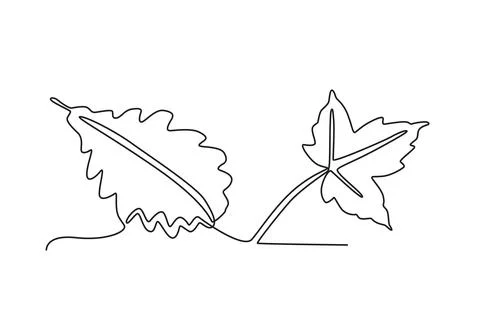 Two leaves fall on the ground Stock Illustration