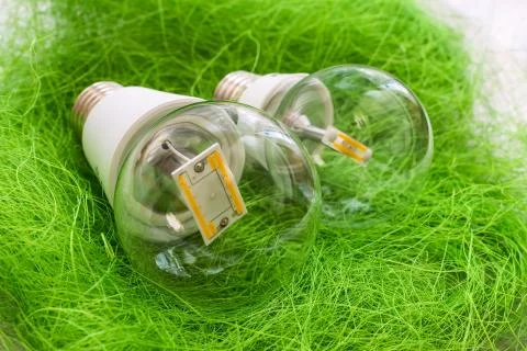 Two LED bulb E27 with different chips in large transparent glass Фото