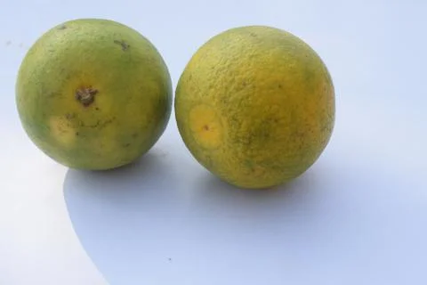 Two lemon on the white background Stock Photos