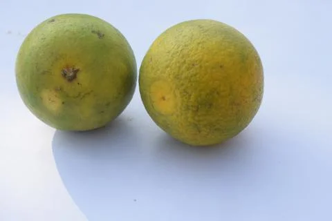 Two lemon on the white background Фото