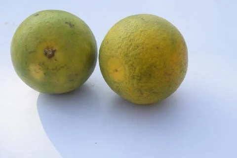 Two lemon on the white background Stock Photos