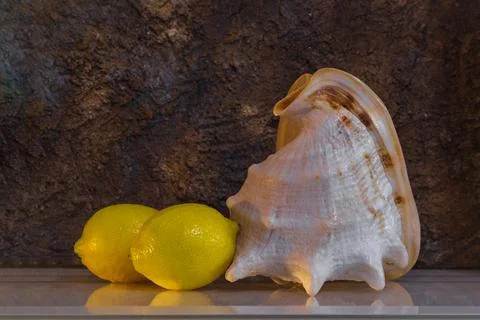 Two lemons and a big seashell on the table. Brown gold background. Copy space Stock Photos