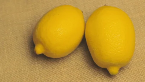 Two Lemons On Canvas Surface Bucolic Still Life Stock Footage 99610043