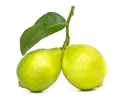 Two lemons Fruit isolated on white background Stock Photos