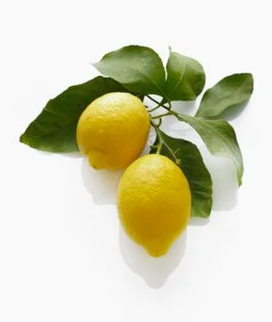 Two lemons with leaves Stock Photos