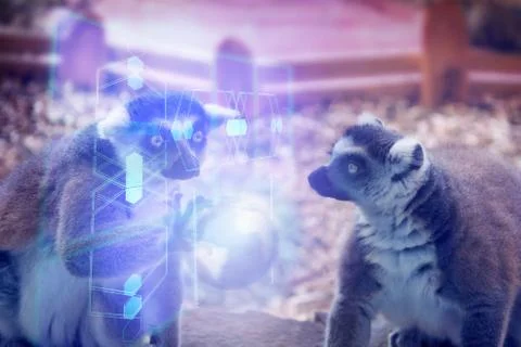 Two lemurs aliens Stock Photos