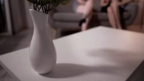 Two lesbians are talking in a bright spacious room, two cute friends are Stock Footage 99147865