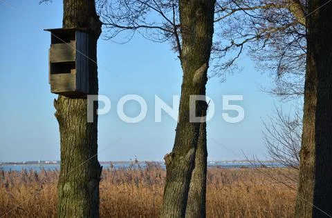 Two levels bird box Stock Photos