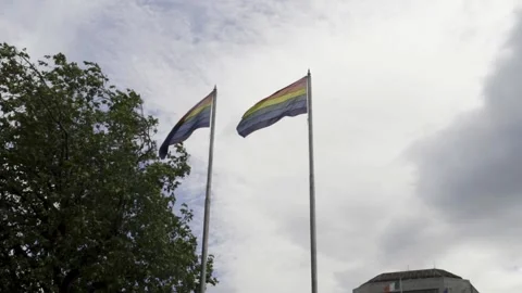Two LGBTQ+ Flag Stock Footage 133459160